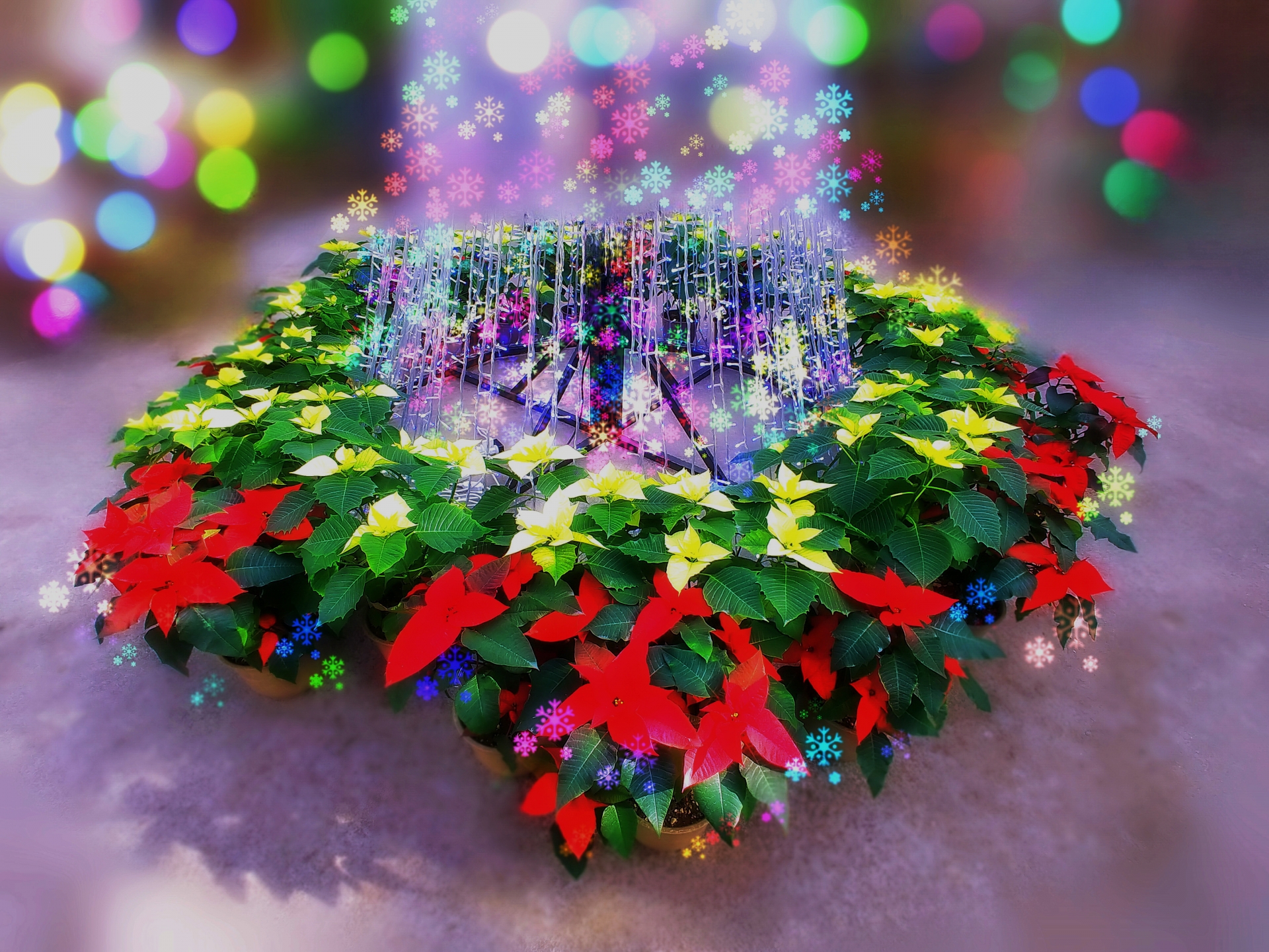 今年もありがとうございました（年末年始休業のお知らせ）